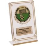 Plastic trophy - transparent - gold with space for a 50mm sticker and a 50mmX20mm TM plaque - Image 2