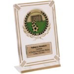 Plastic trophy - transparent - gold with space for a 50mm sticker and a 50mmX20mm TM plaque - Image 4