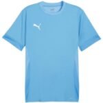 Puma teamGoal Matchday Jersey M 705747 18