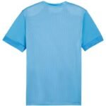 Puma teamGoal Matchday Jersey M 705747 18 - Image 2