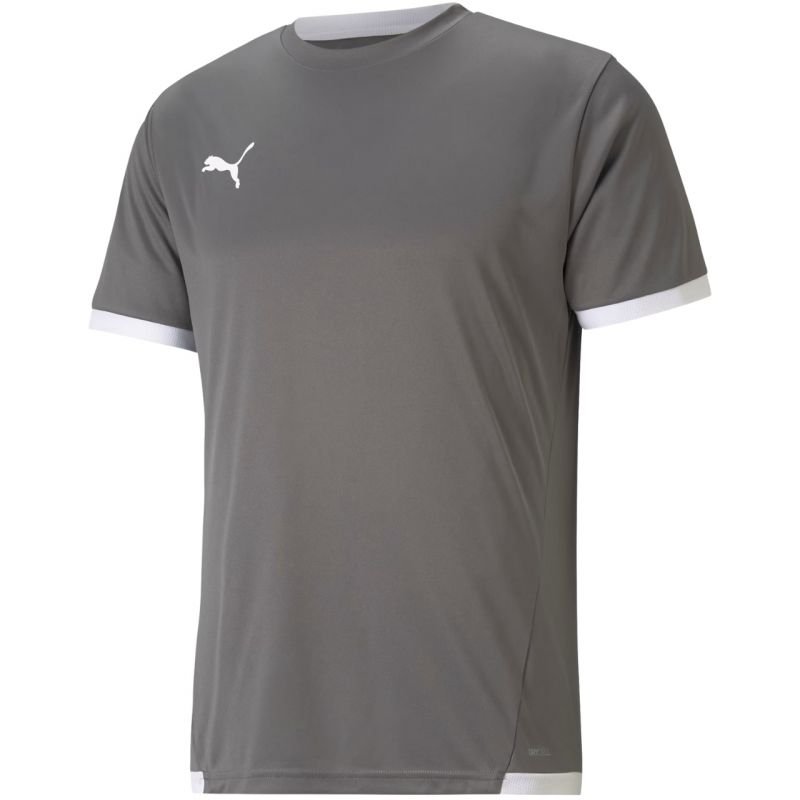 lupin-wear-ca-puma-teamliga-jersey-m-704917-13-1612323 Puma teamLIGA Jersey M 704917 13 - Image 1