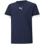 Puma teamRise Jersey Jr 704938 06
