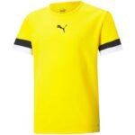Puma teamRise Jersey Jr 704938 07