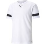 Puma teamRISE Jersey M 704932 04