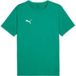 Puma teamRISE Matchday Jersey M 706132 05