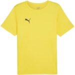 Puma teamRISE Matchday Jersey M 706132 07