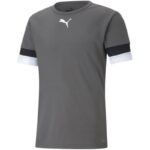 Puma teamRISE Smoked T-shirt M 704932 13