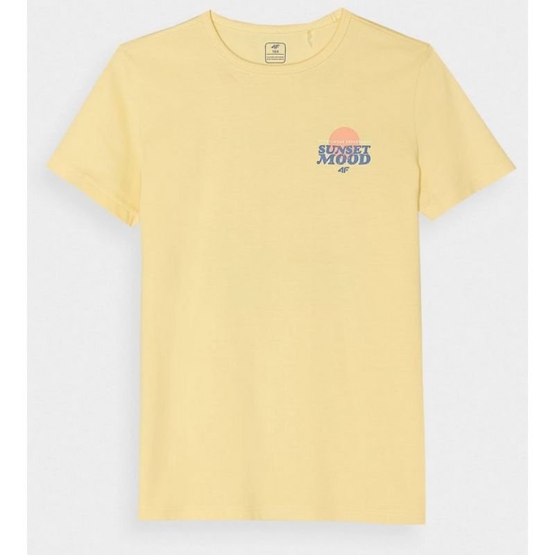 lupin-wear-ca-t-shirt-4f-jr-4fjwss24ttshm1136-73s-1104855 T-shirt 4F Jr 4FJWSS24TTSHM1136 73S - Image 1