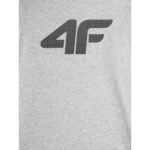 T-shirt 4F M 4FAW23TTSHM0877-27M - Image 2