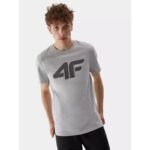 T-shirt 4F M 4FAW23TTSHM0877-27M - Image 3