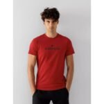 T-shirt 4F M 4FSS23TTSHM539-62S - Image 3