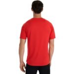 T-shirt 4F M 4FWAW25TFTSM1499 63S - Image 3